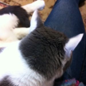 Wake up, Smokey, I need to post!